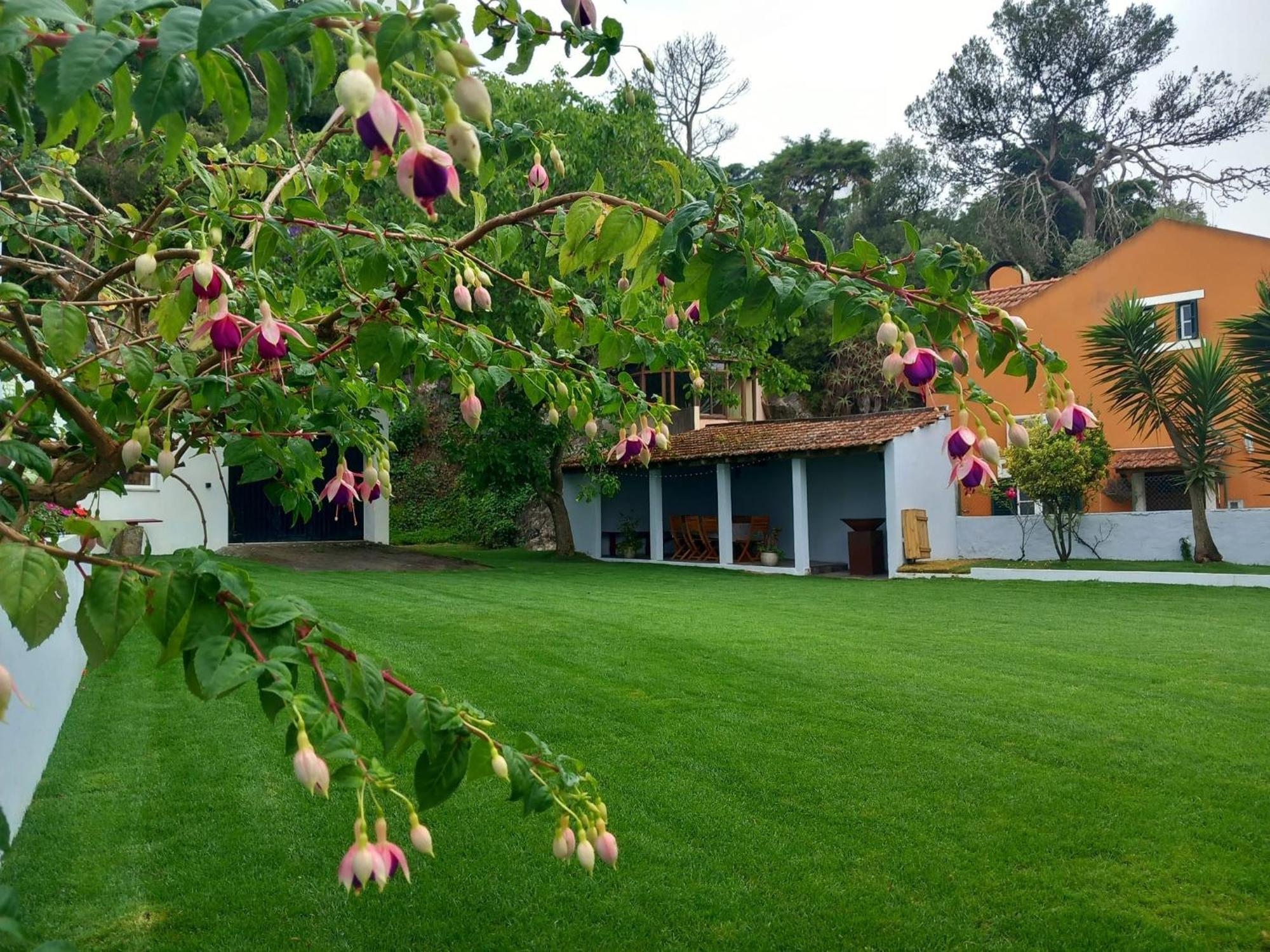 Villa In Sintra - Casa Da Penha Ferrim Exterior foto